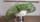 CHAPEAU SANS CALOTTE VERT ANIS