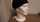BERET COTON MARINE