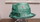 CLOCHE COMPLIT VERTE 13255