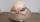 CLOCHE A BORD LARGE COMPLIT BEIGE RAYE