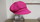 GAVROCHE LIN FUSHIA
